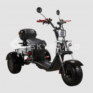 Электроскутер SKYBOARD TRIKE BR40-3000 PRO FAST